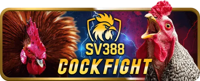 Hình ảnh chương trình VIP ae789